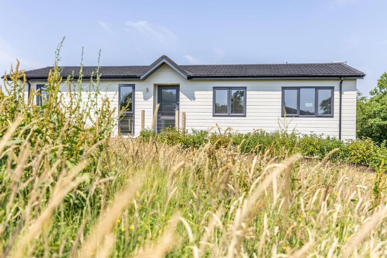 Rose Lodge, 21 Roadford Lake Lodges Lifton Exteriör bild